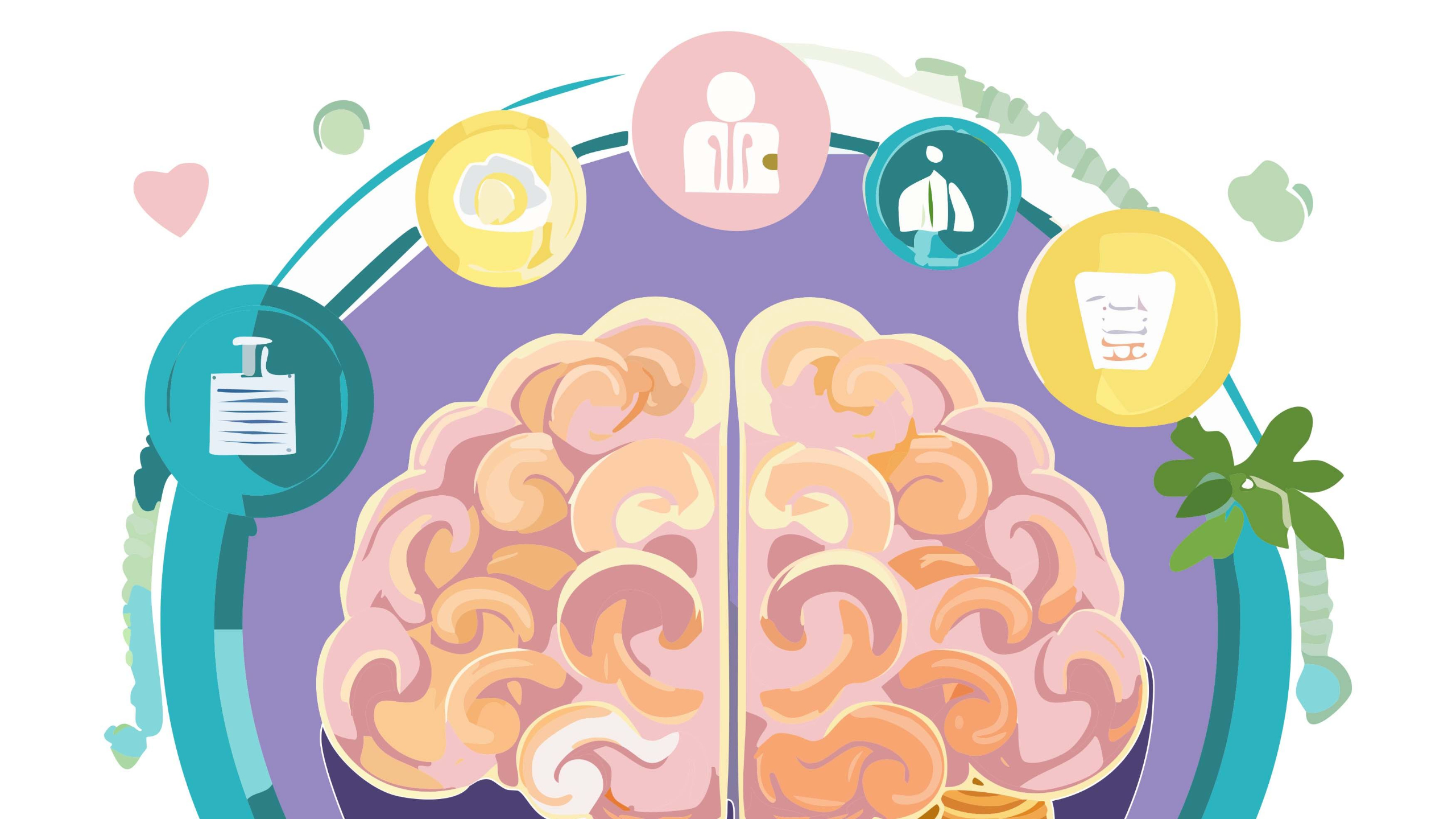 Brain Health Toolkit