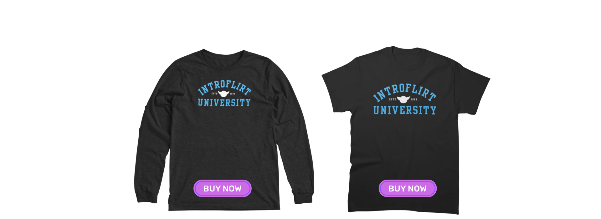 Introflirt University Merch - Sweatshirt and T-Shirt