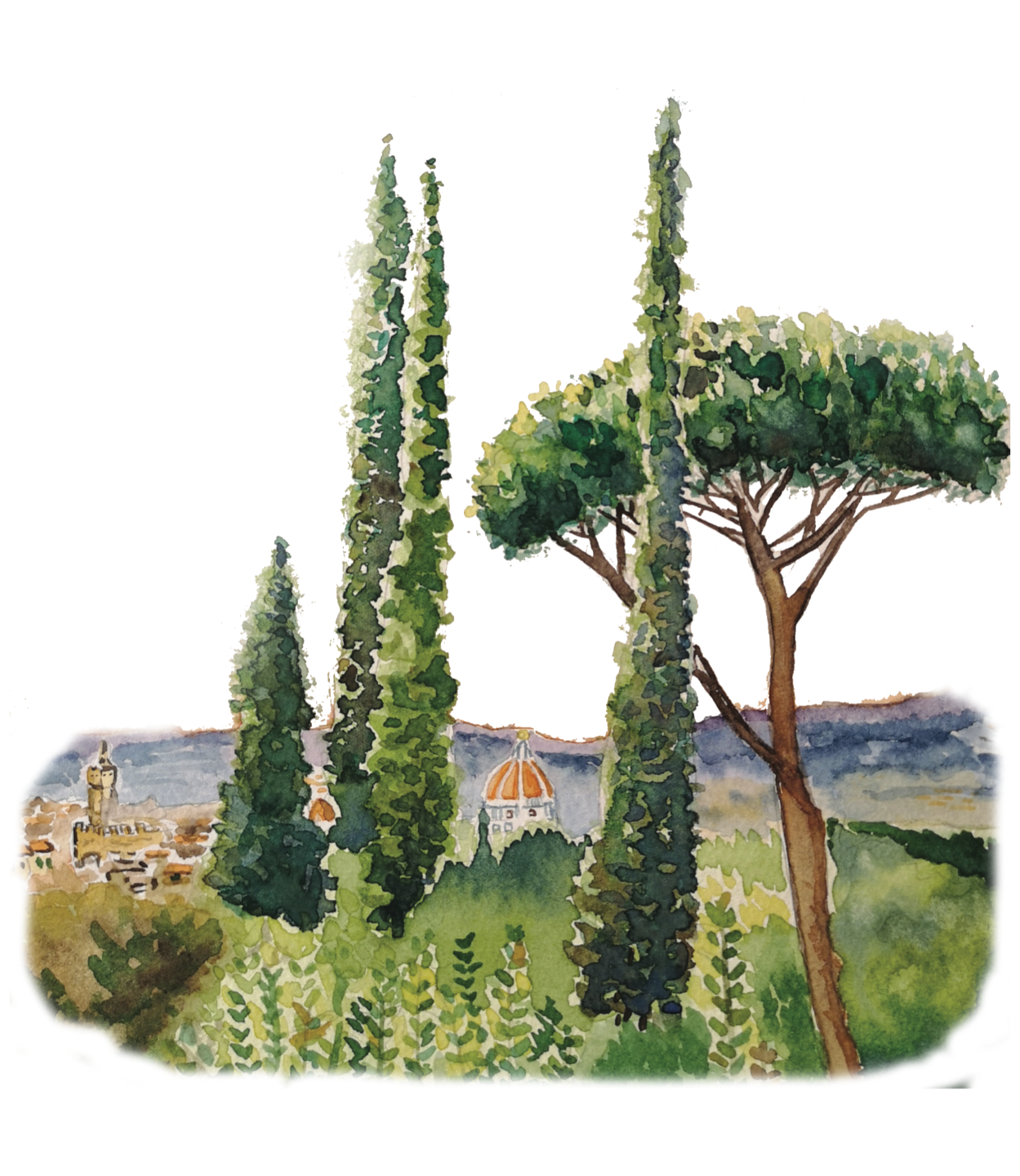 Painting of a Paloma