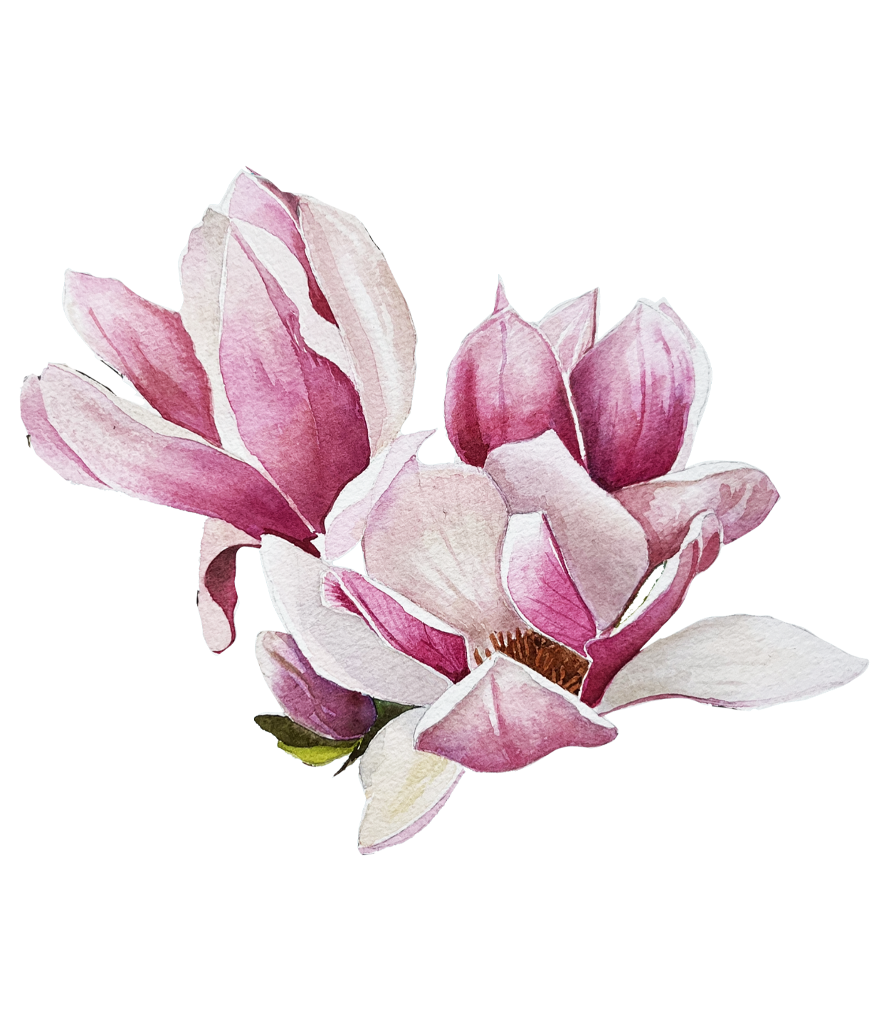 Painting of an Aperol