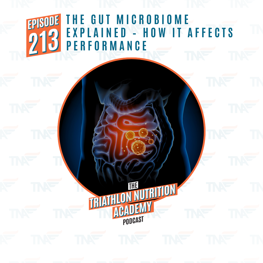 EP 213 - The Gut Microbiome Explained - How It Affects Performance