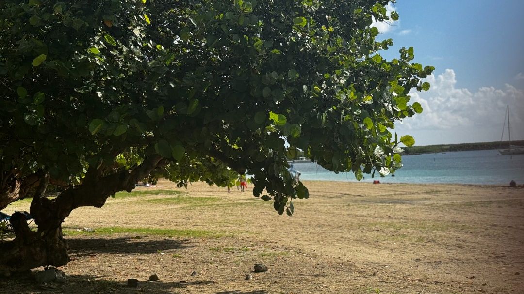 St. Thomas Cruise Port: Brewers Bay Beach