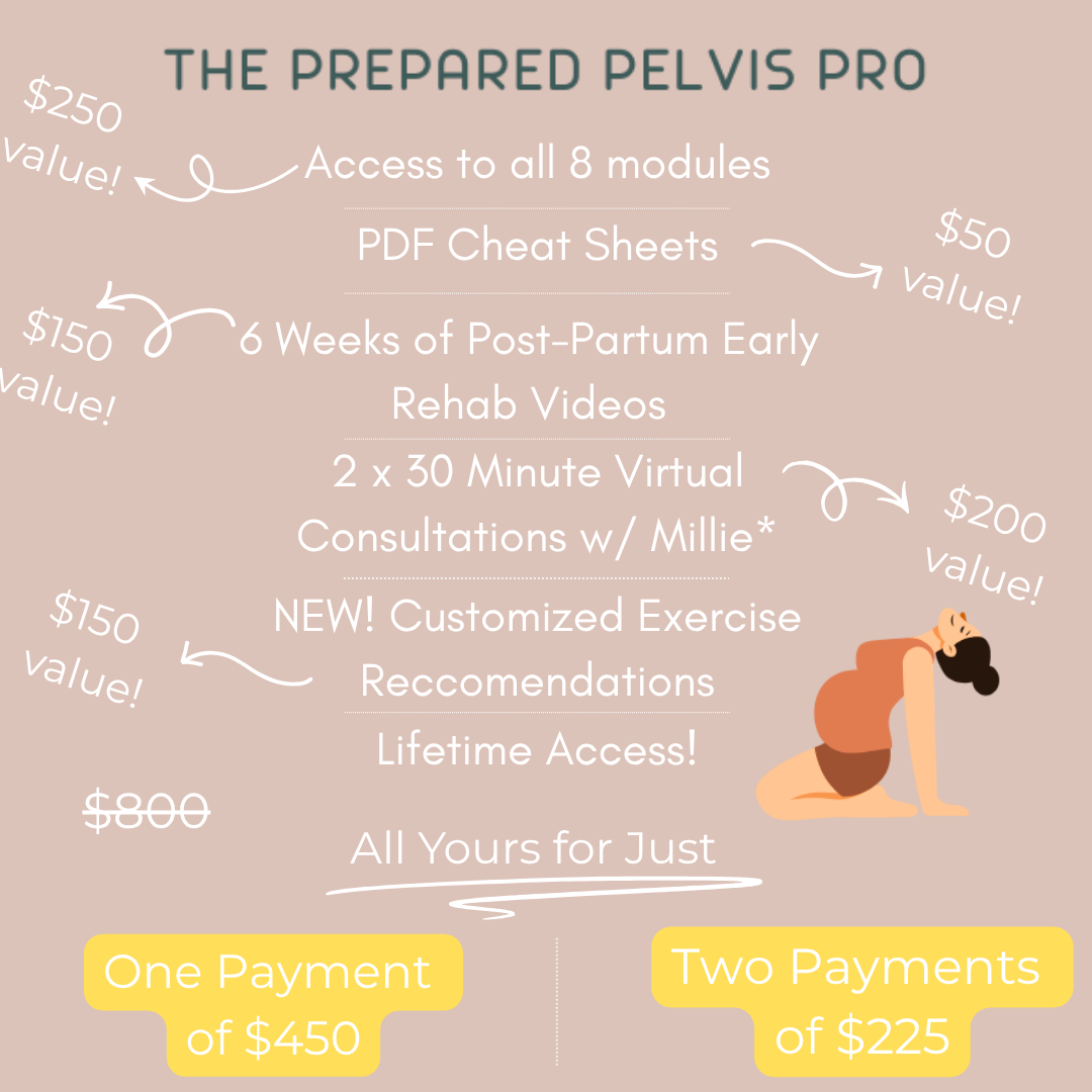 Pregnancy and Birth Prep- The Prepared Pelvis Pro Plan