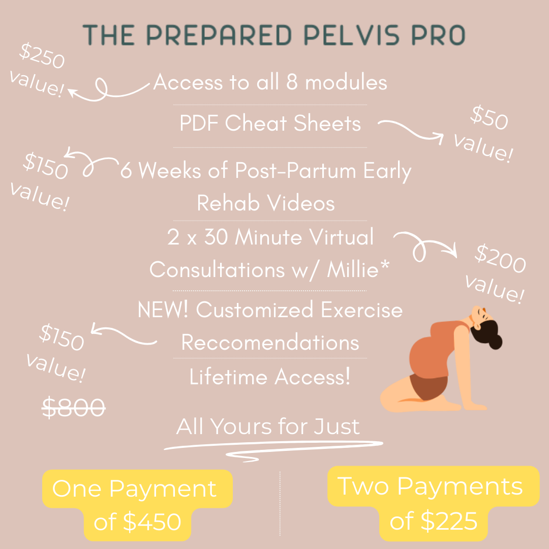Pregnancy and Birth Prep- The Prepared Pelvis Pro Plan