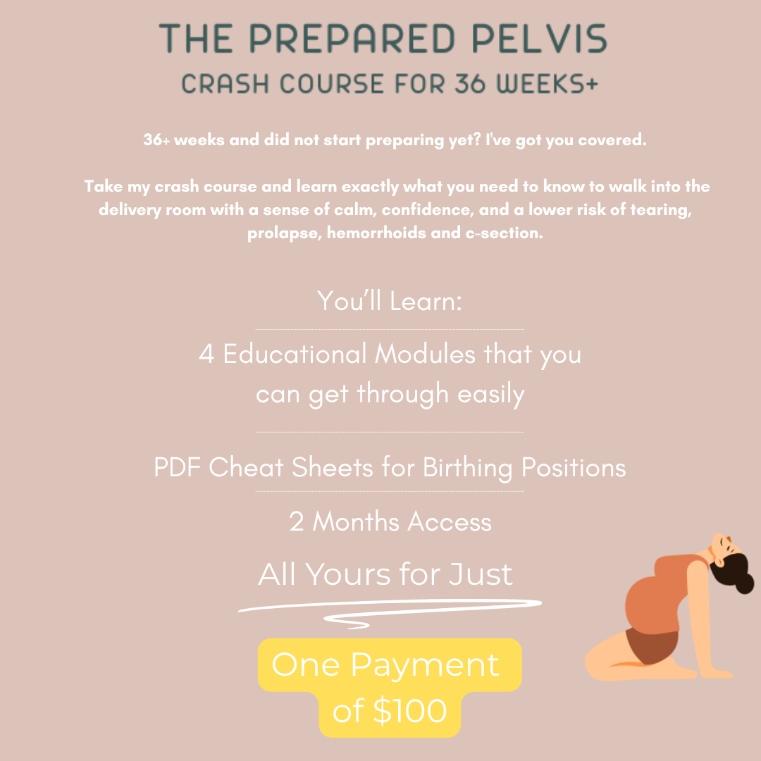 Pregnancy and Birth Prep- The Prepared Pelvis Crash Course