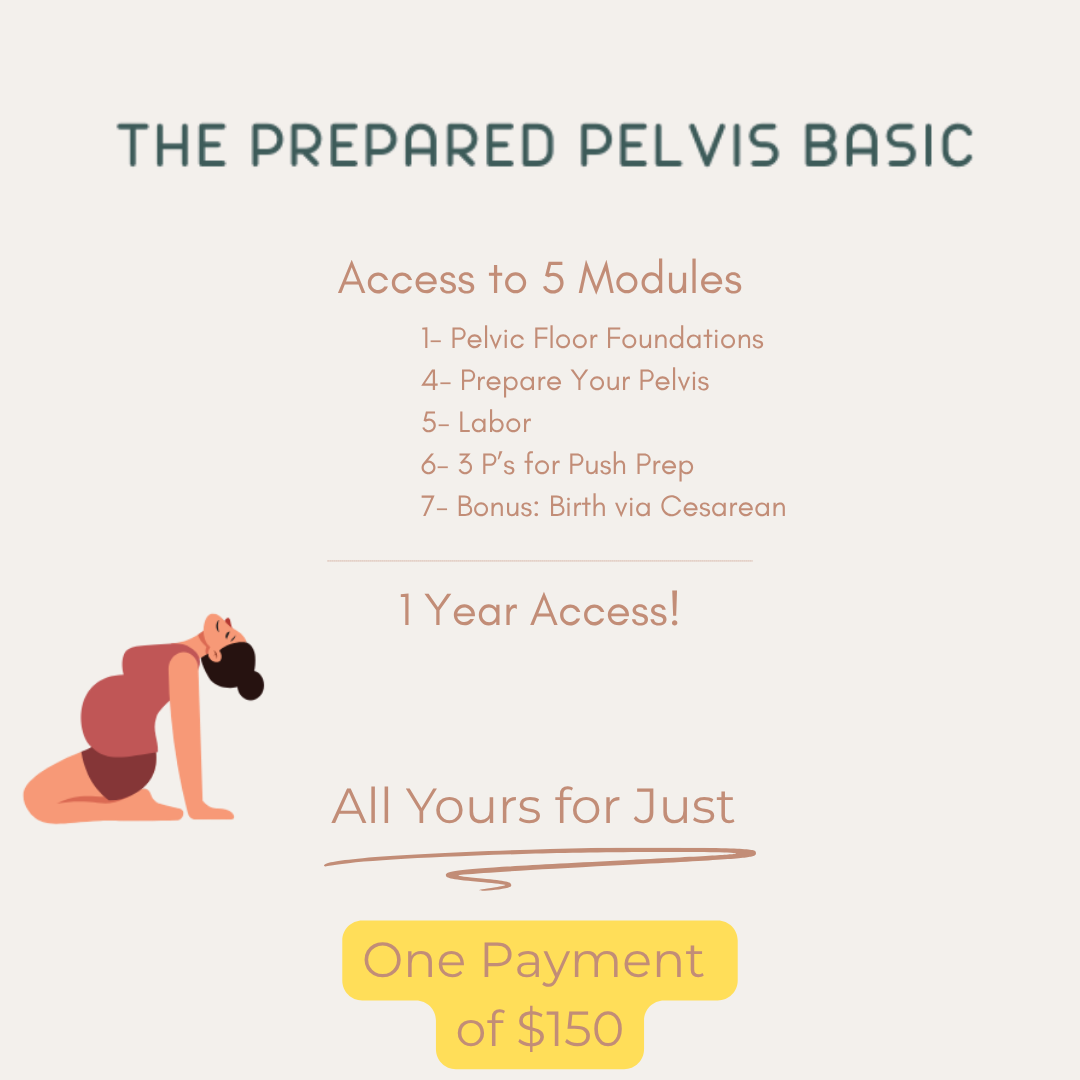 Pregnancy and Birth Prep- The Prepared Pelvis Pro Plan