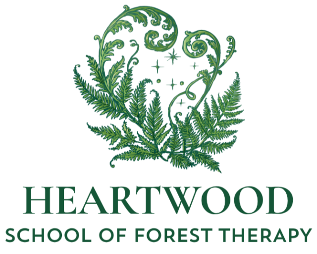 HEARTWOOD: SCHOOL OF FOREST THERAPY