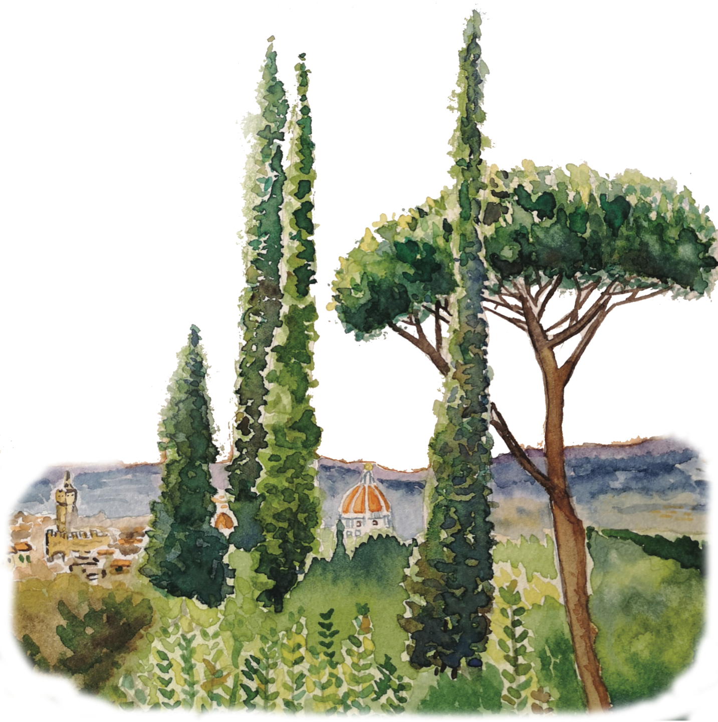 Painting of a Paloma