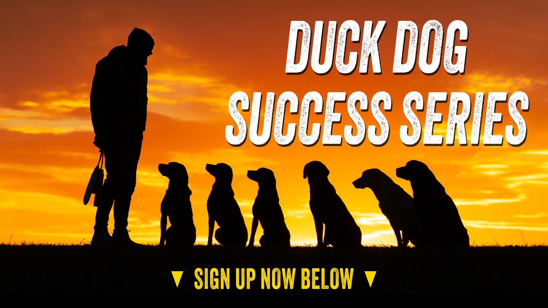 SIGN UP BELOW FOR THE DUCK DOG SUCCESS SERIES