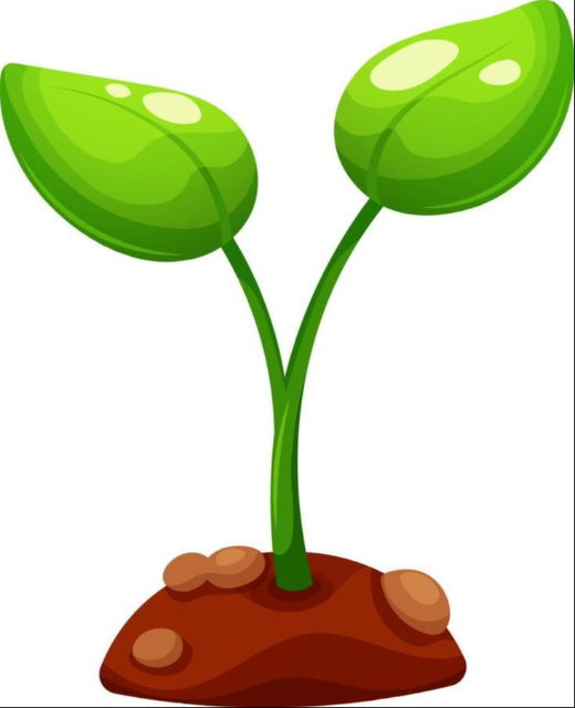 Header Logo