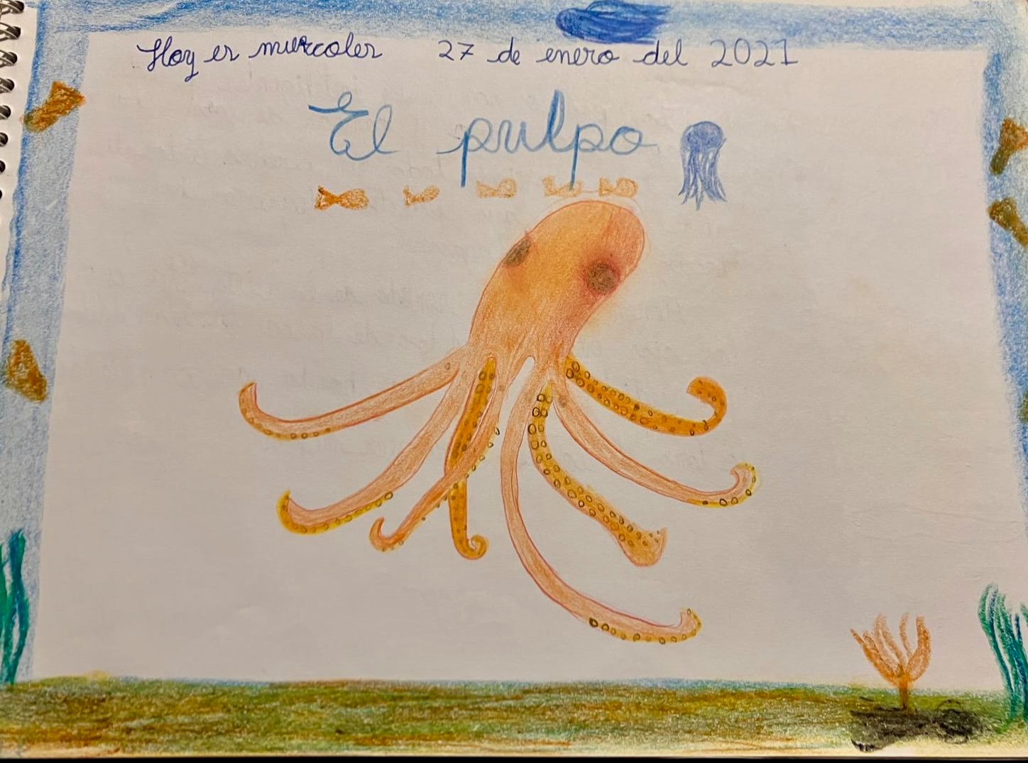 Dibujo Waldorf-cuarto grado-zoología-pulpo