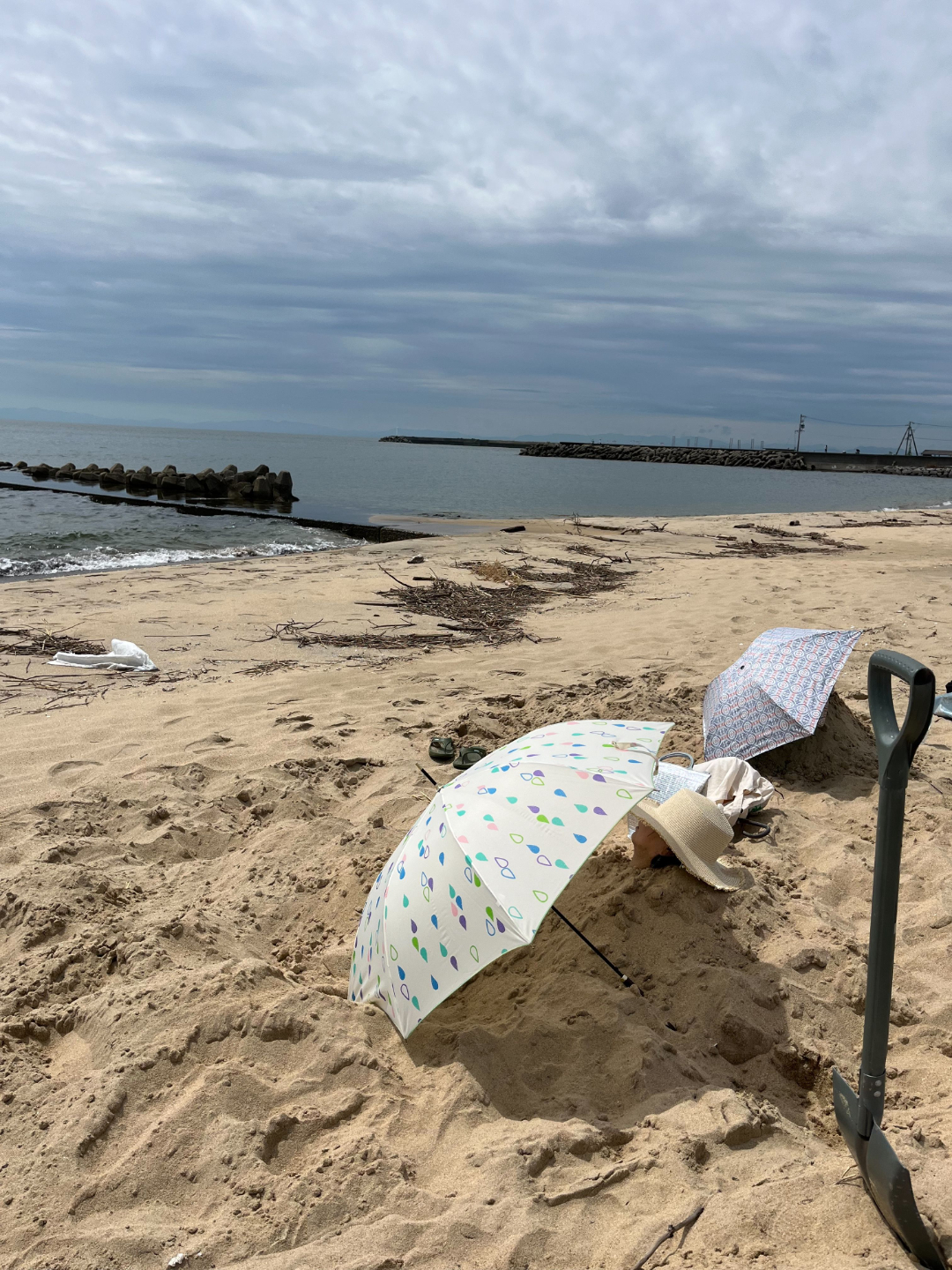 ローフード活動