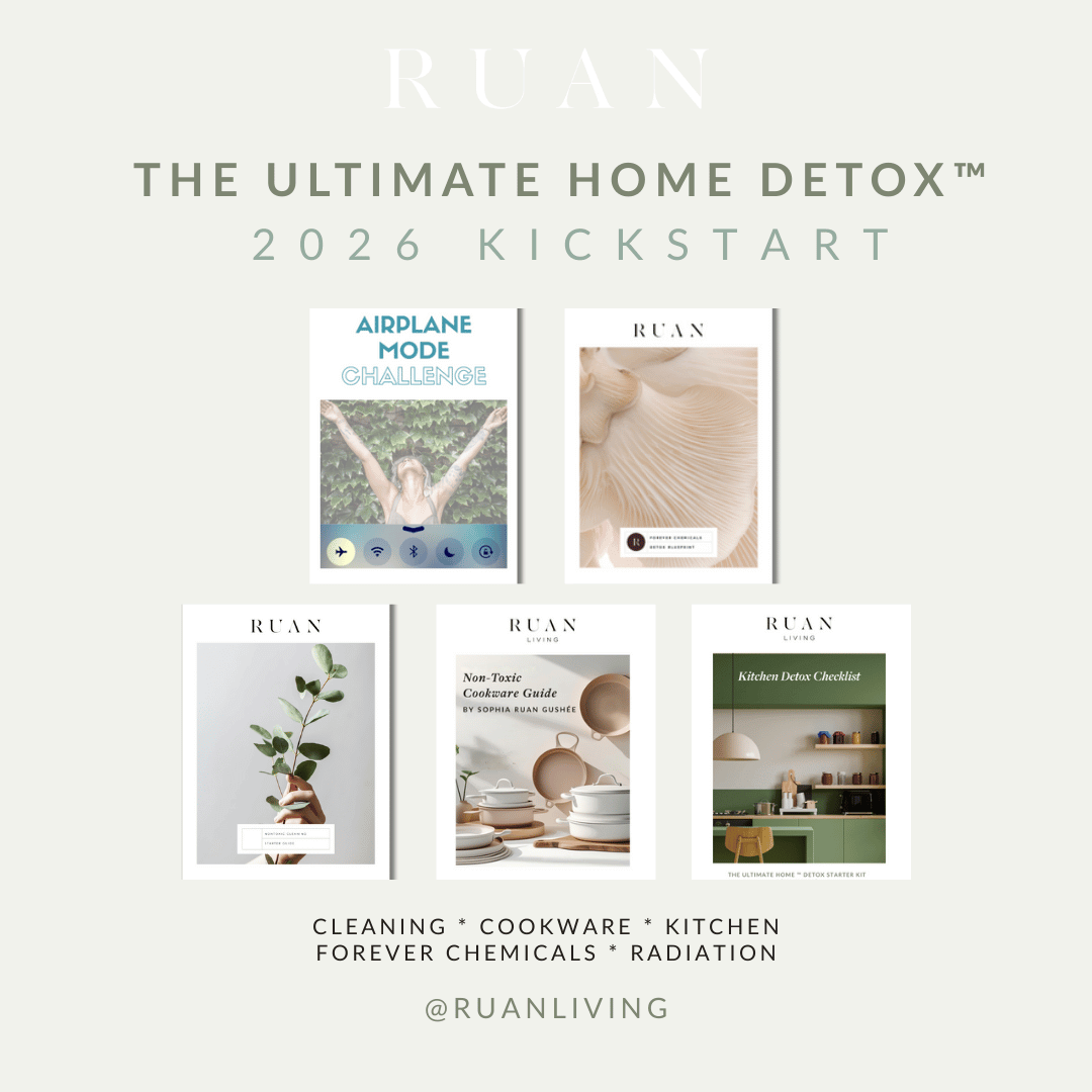 Image of downloads that are included in the Ultimate Home Detox Kickstart Series