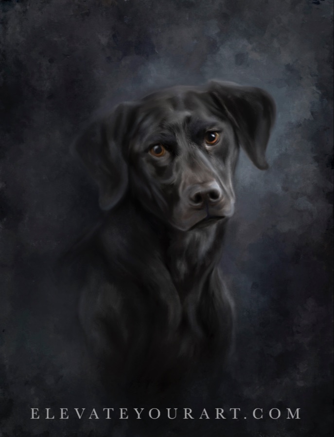 example picture number 2