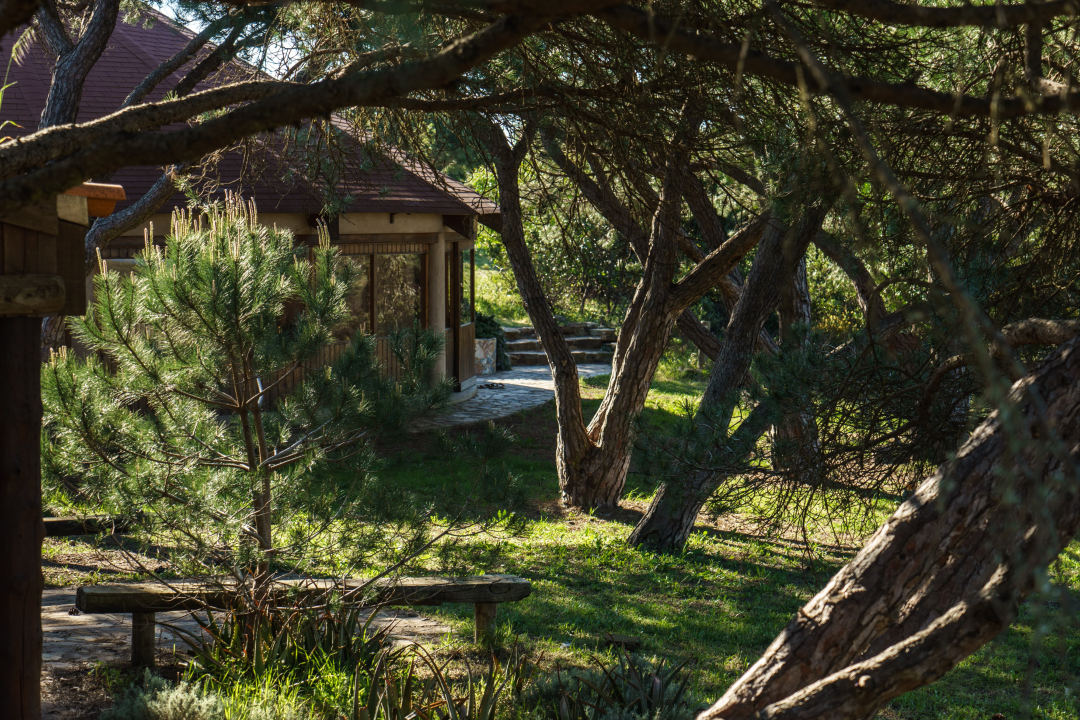 tantra-essence-soulmate-retreat-level-1-21