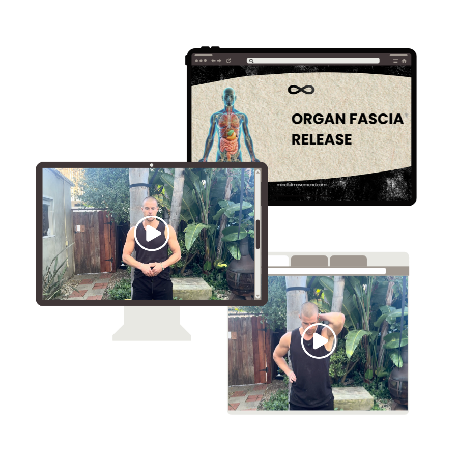 mockup of organ fascia release