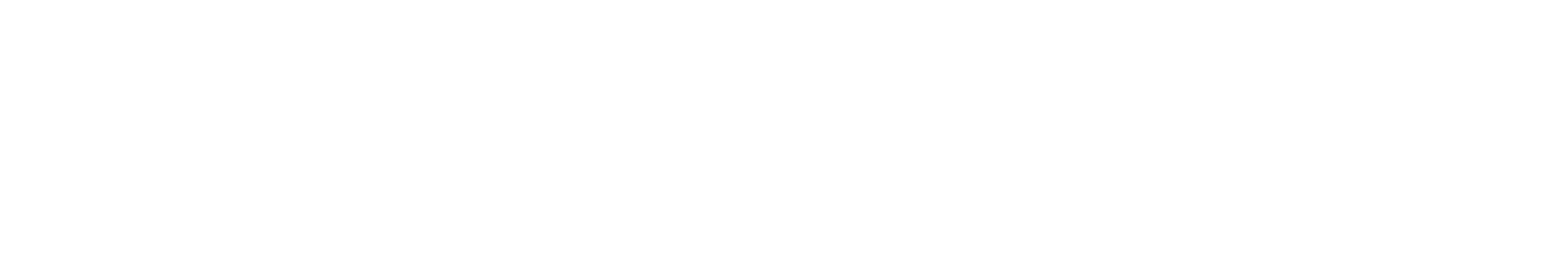 the best wedding planning