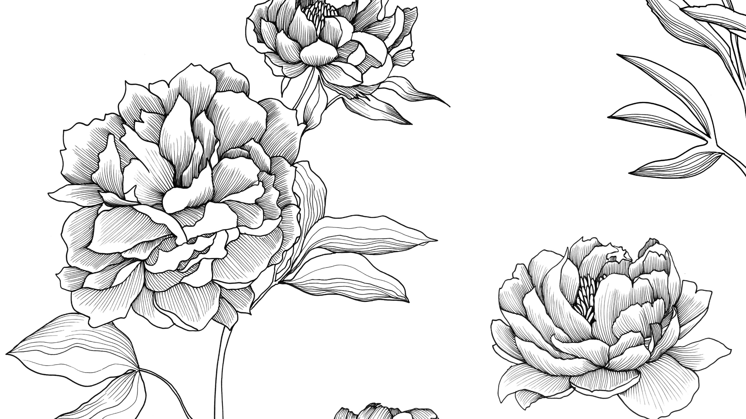 Bonus 1 inclusion for the Complete Repeat Course