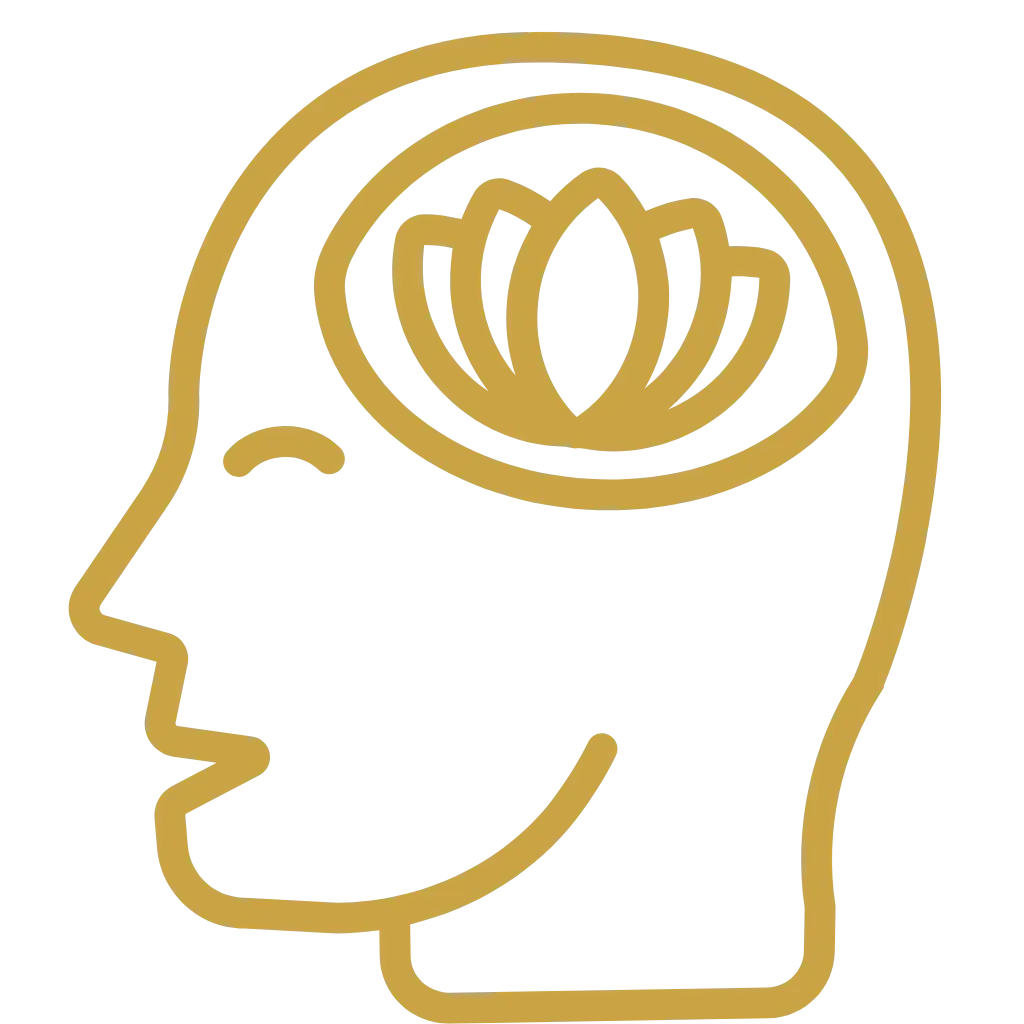 Master en Mindfulness Raiza