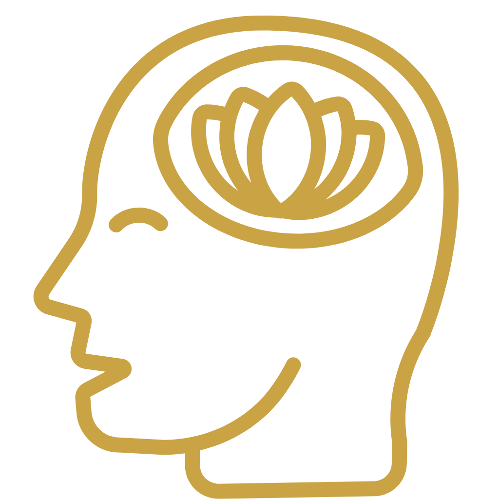 Master en Mindfulness Raiza