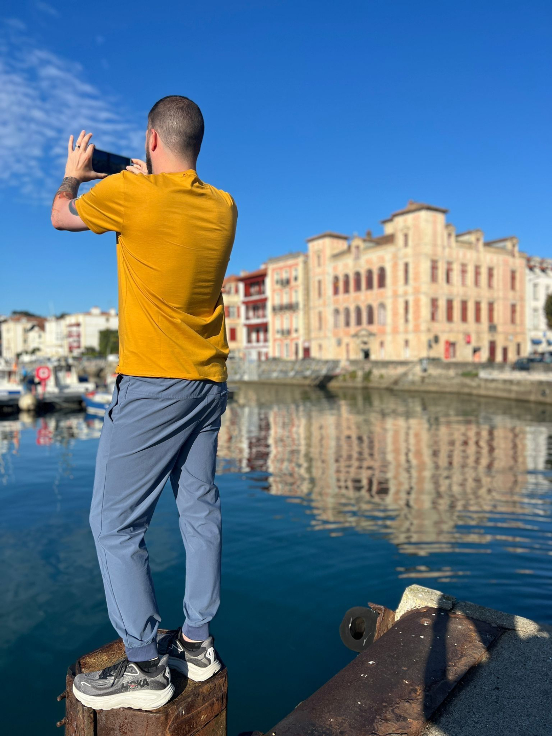 Yak wildlife in Scotland