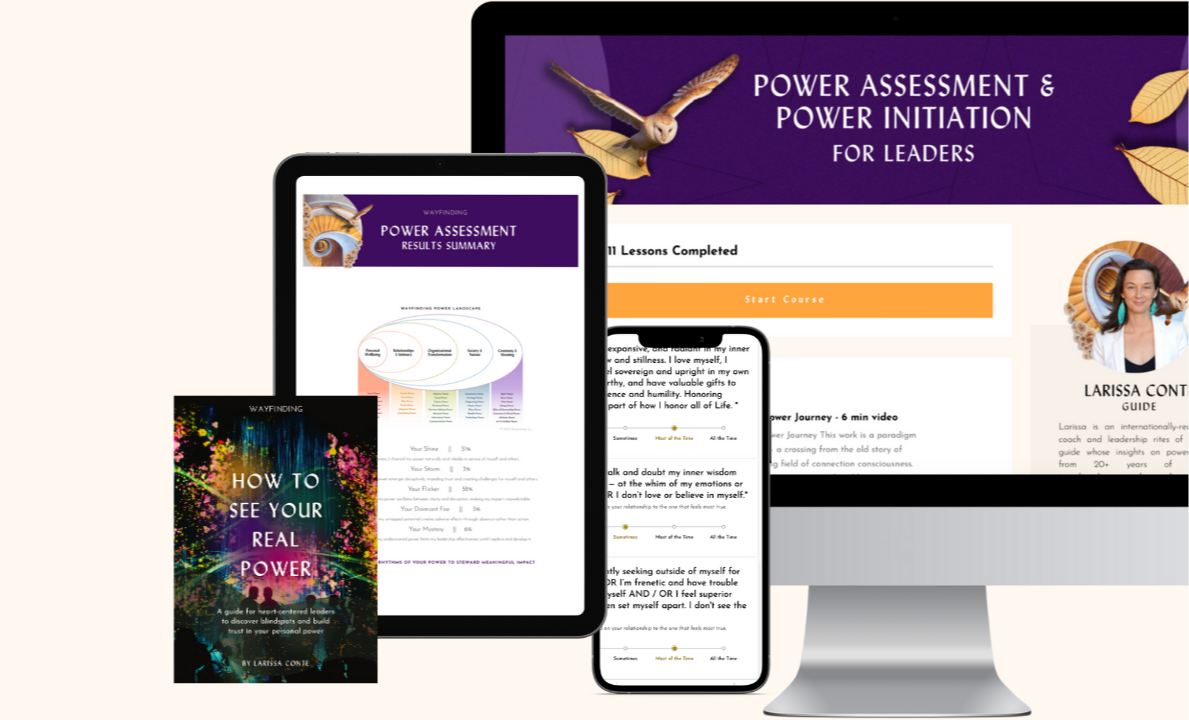 The Power Assessment for Leaders gives multi-dimensional, heart-centered leaders a rich inventory of their power patterns.