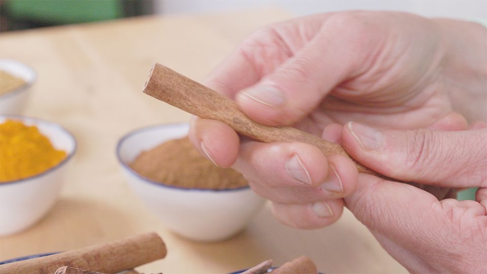 Hand hält eine Zimtstange vor Schalen mit Zimtpulver und Kurkuma – ayurvedische Gewürzkunde