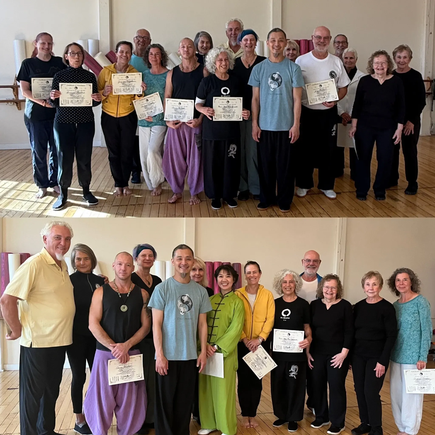 Tai Chi and QiGong Online Video Courses