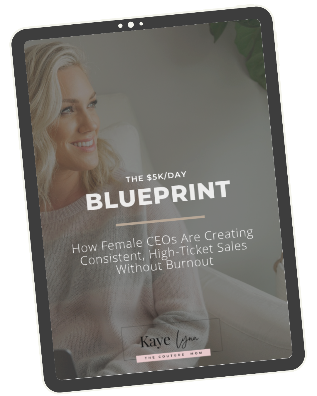 Kaye Dixon business strategist for female CEOs scaling to $5K days