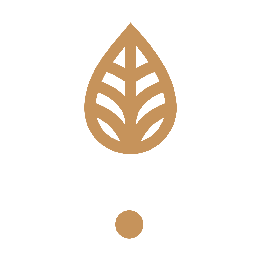 Trauma Therapist Institute Icon