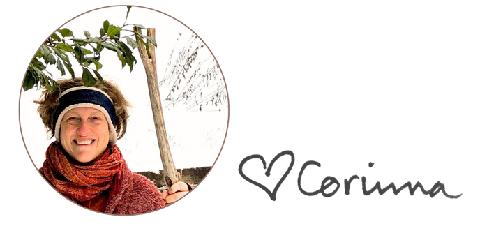 Corinna (in the snow with holly)