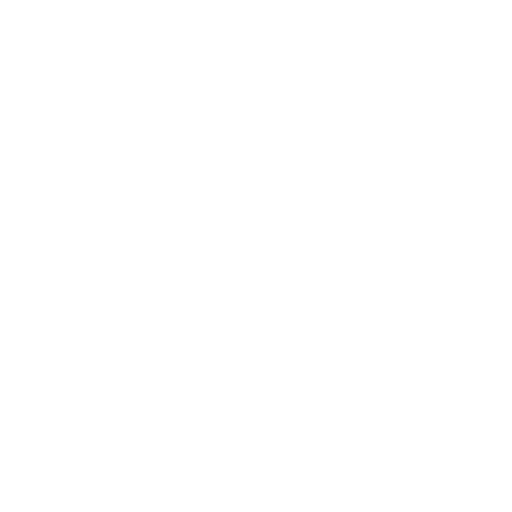 Reflection icon
