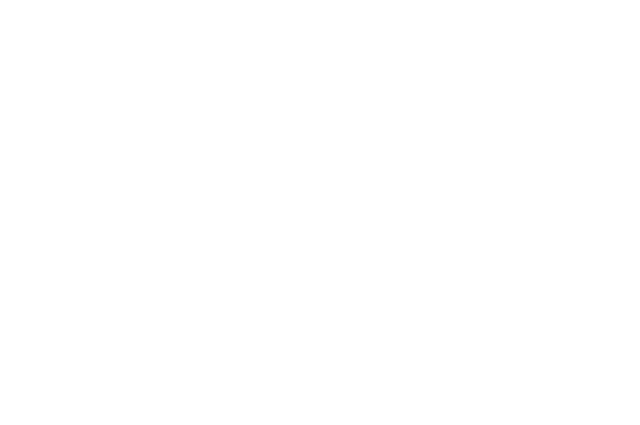 The Sister Tribe