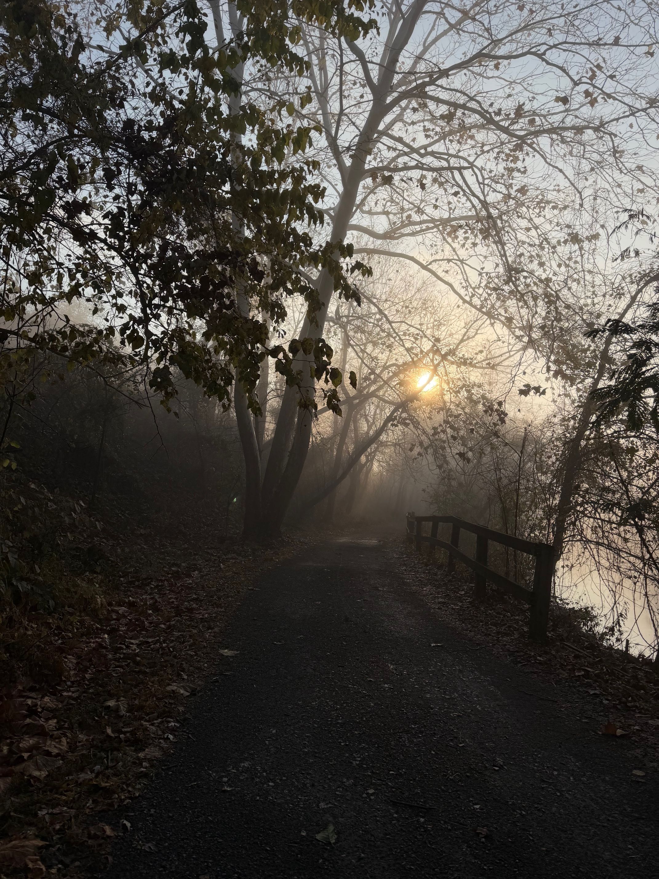 (Pictured Second to the Right as the Village People in HighSchool)