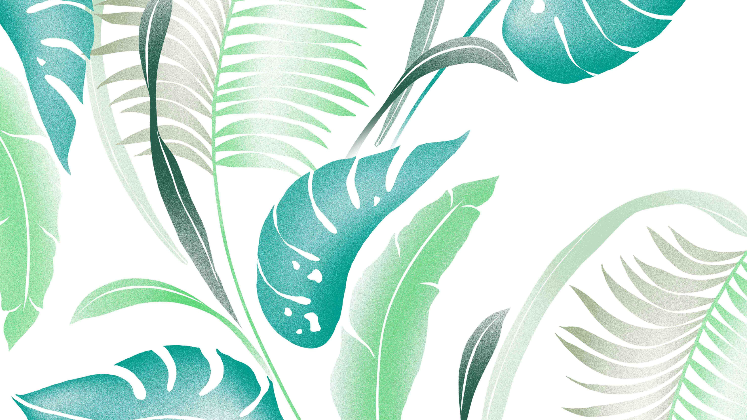 Different Photoshop Basic designs 