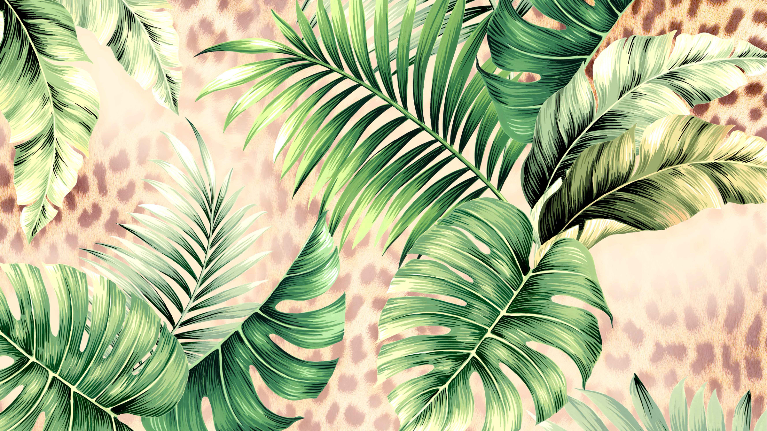 Different Photoshop Basic designs 