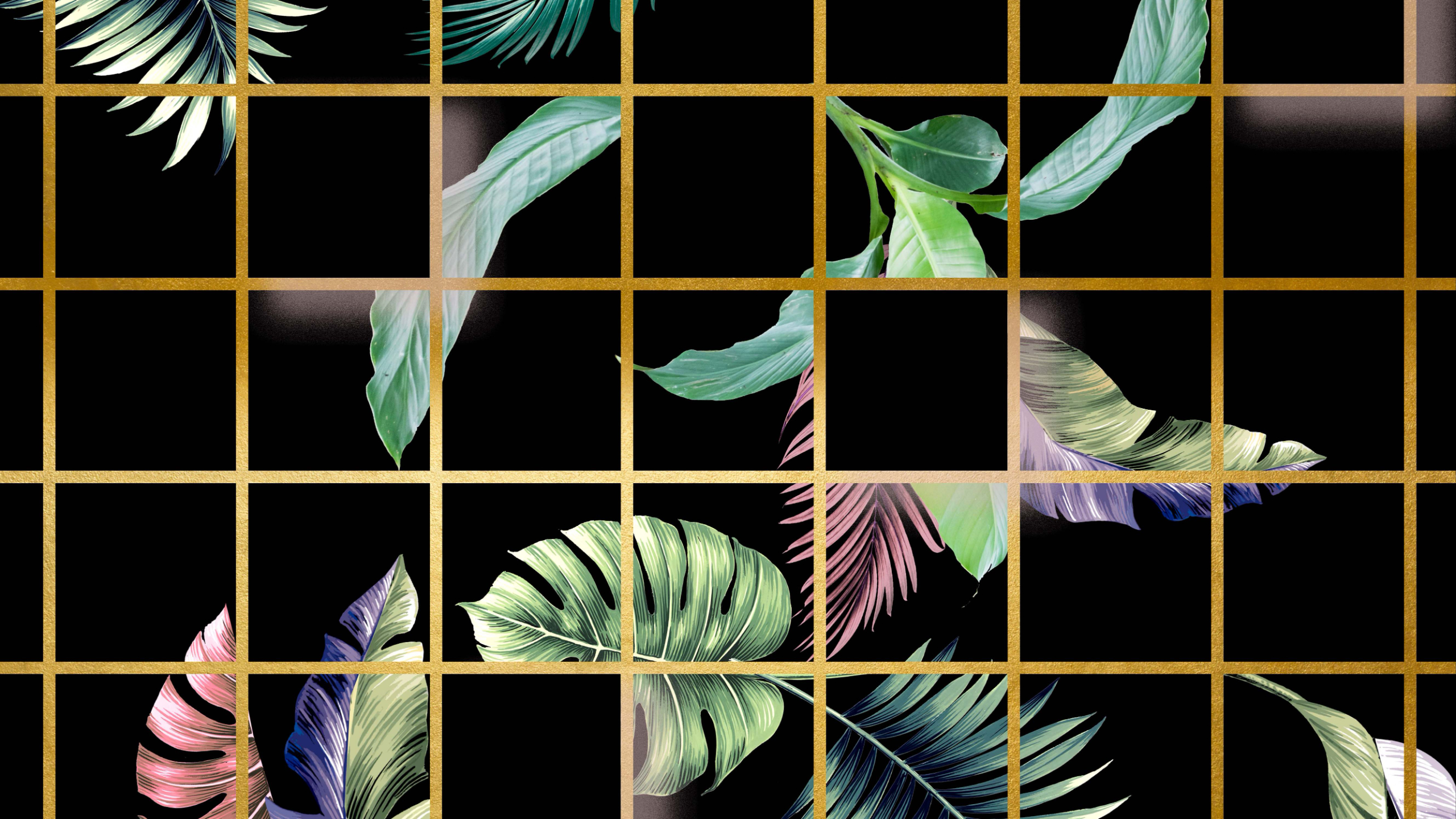 Different Photoshop Basic designs 