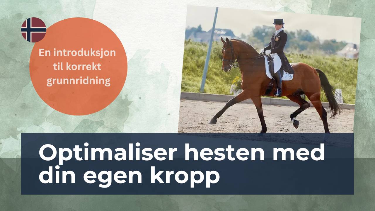 Optimaliser hesten med din egen kropp