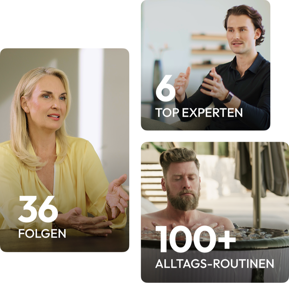 Kurs-Inhalte
