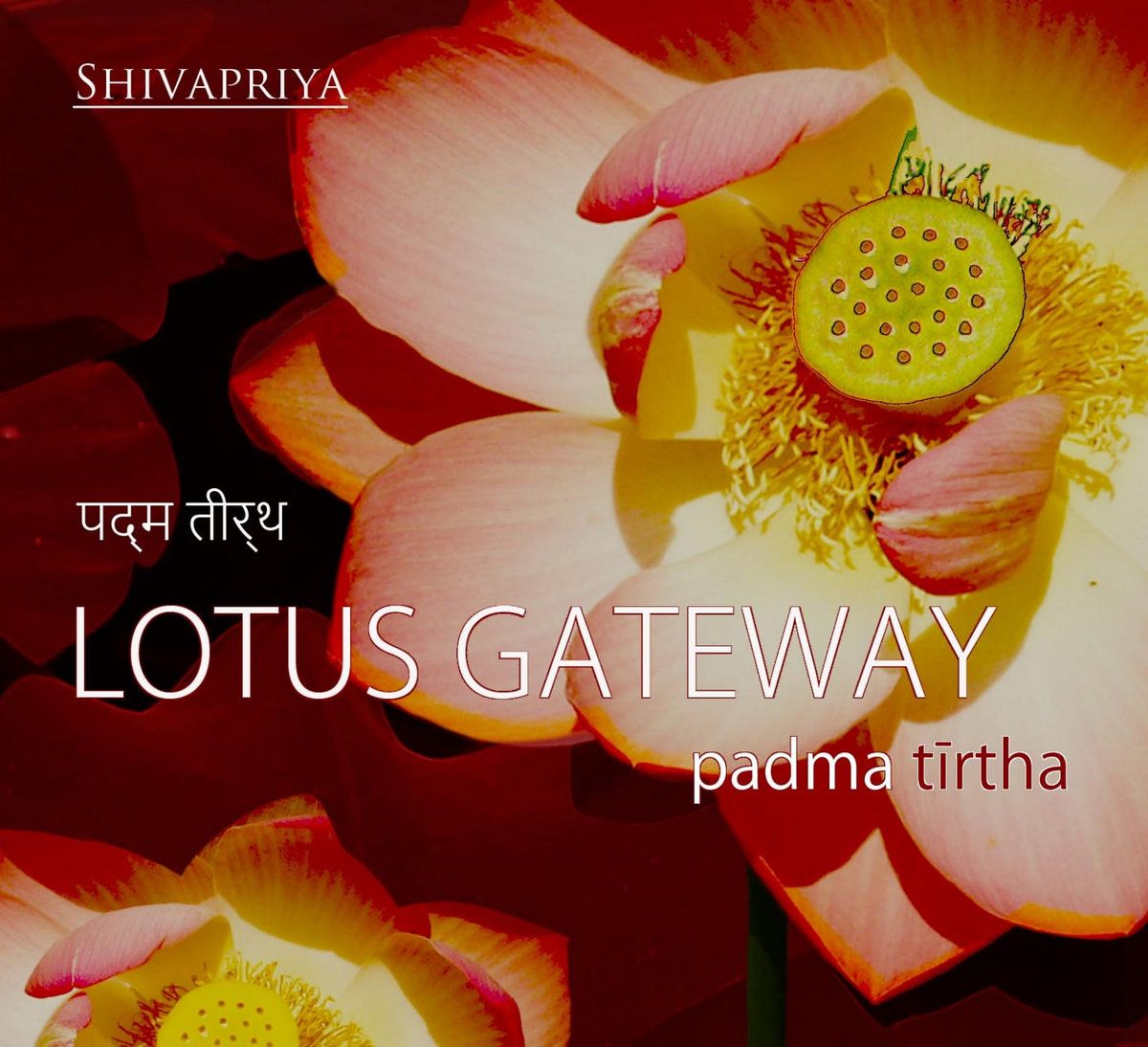 Lotus-gateway-thumbnail