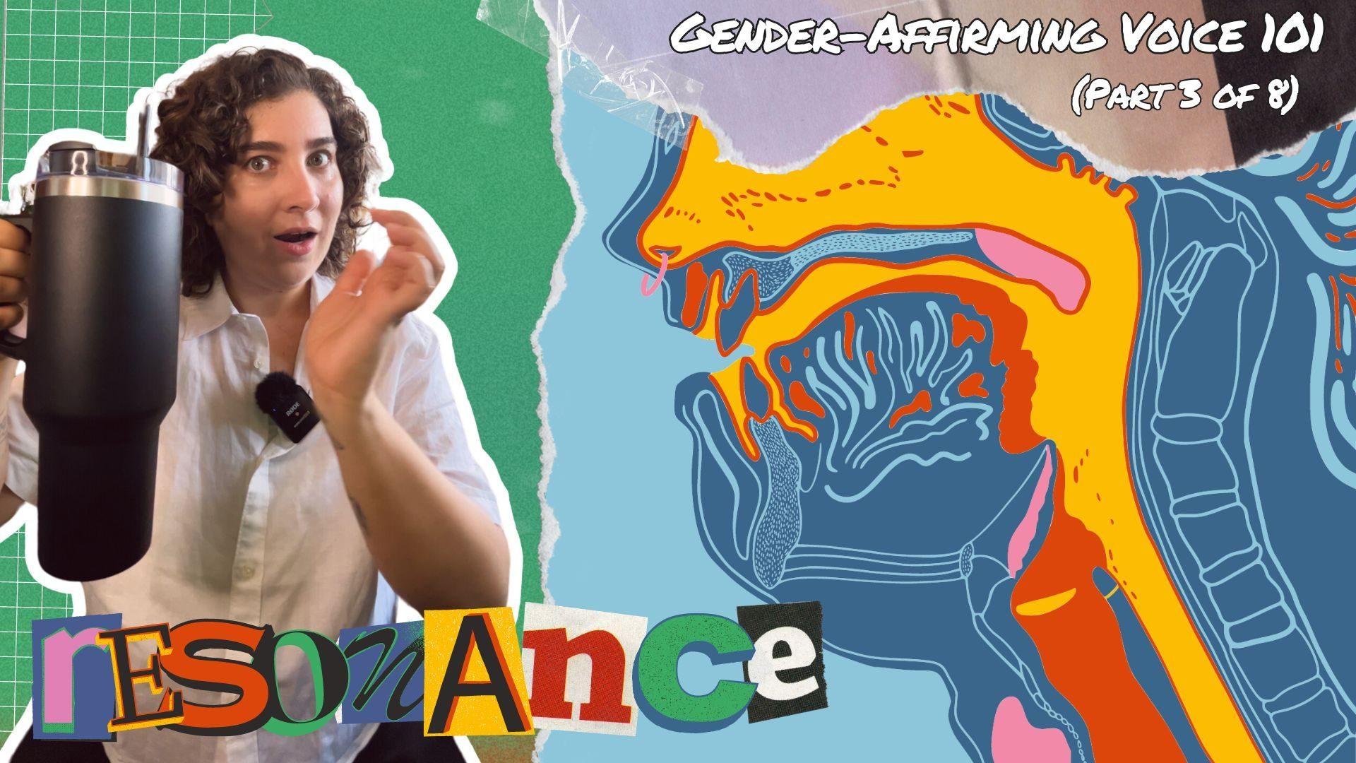 Visual diagram showing vocal resonance concepts for gender-affirming voice training