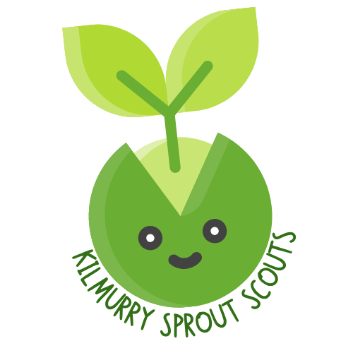 Killarney House Gardens