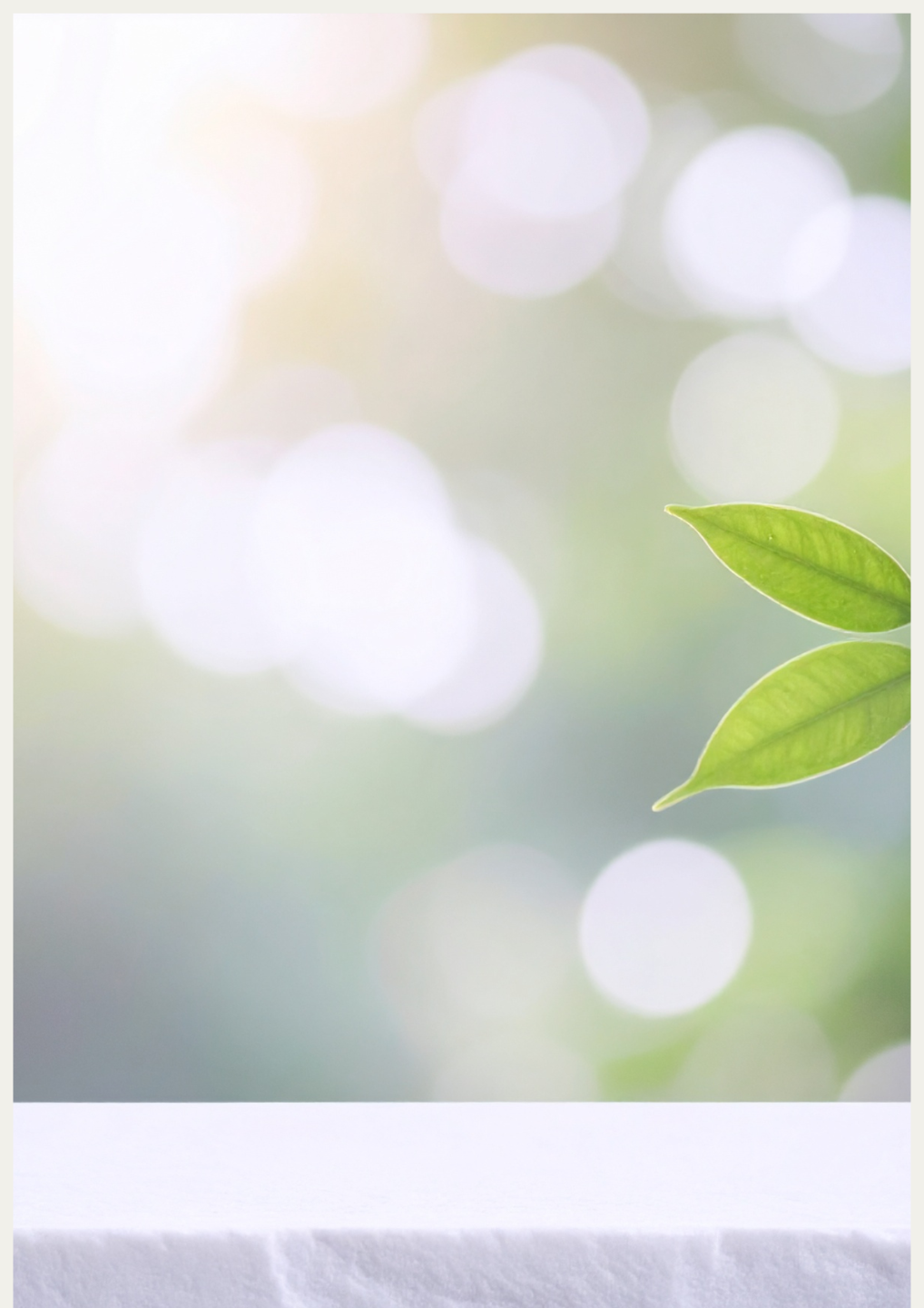 Zacht ochtendlicht tussen bomen, een stille plek waar het zenuwstelsel tot rust komt en het lichaam kan landen.