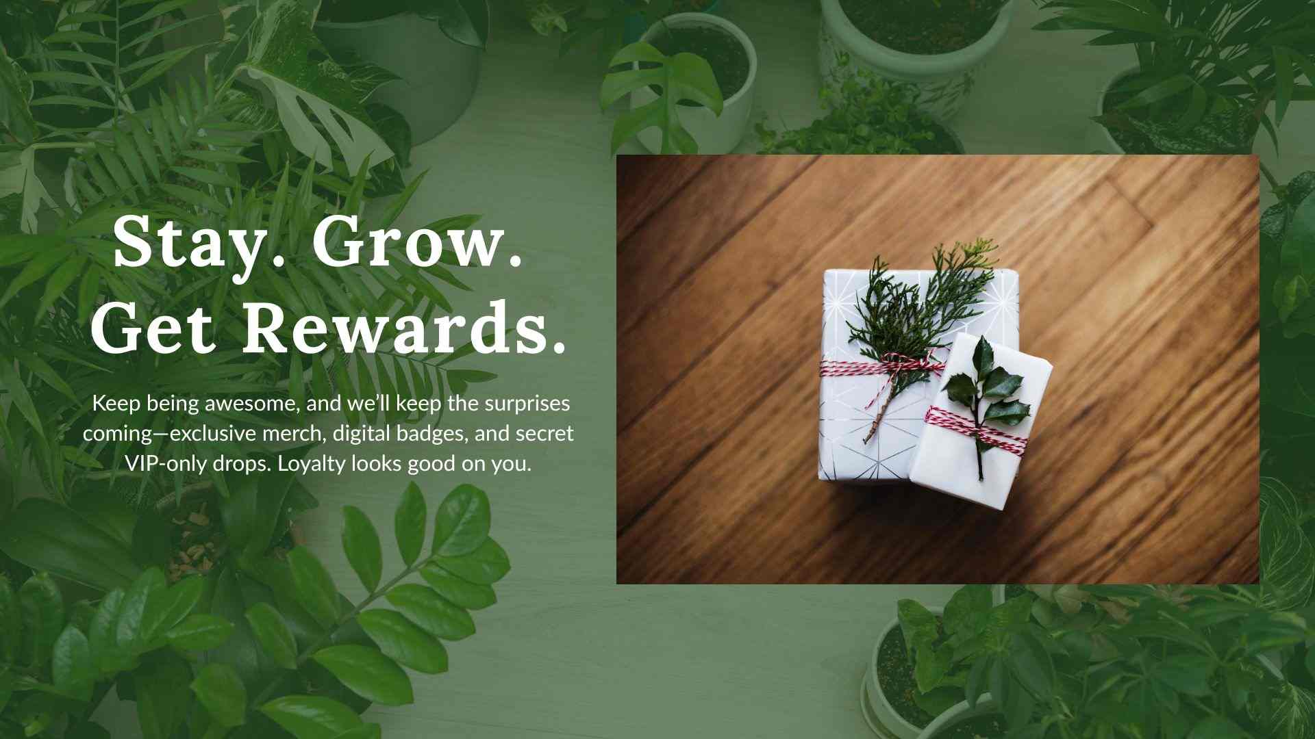 Bonus #4: Long-Term Member Perks