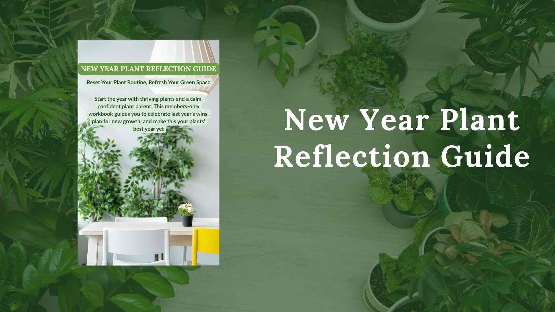 Bonus #2: New Year Plant Reflection Guide