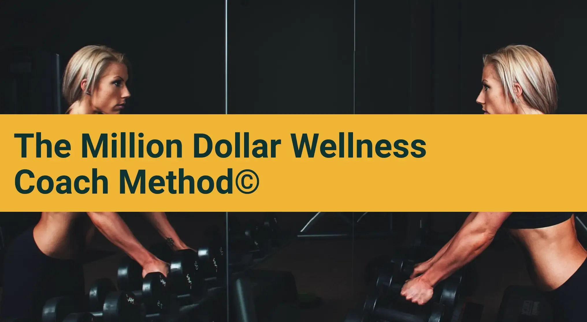 The Million Dollar Wellness Coach 