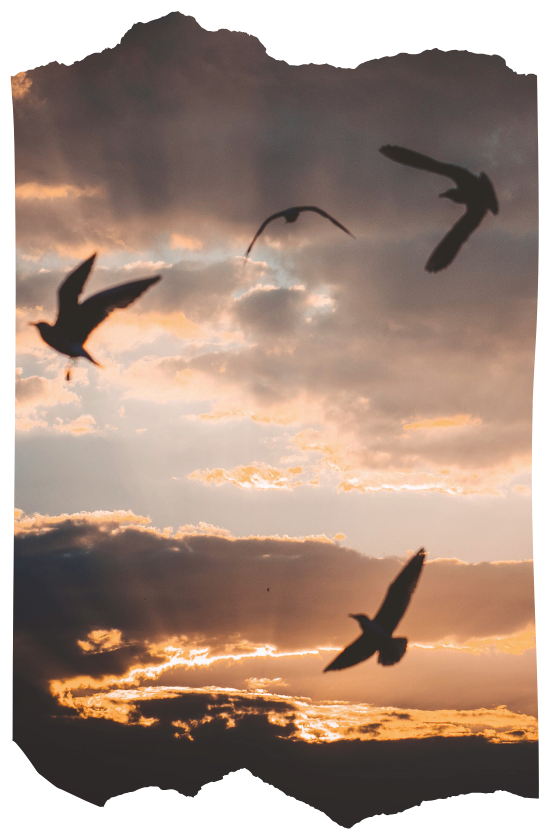 Empower Spellcasting