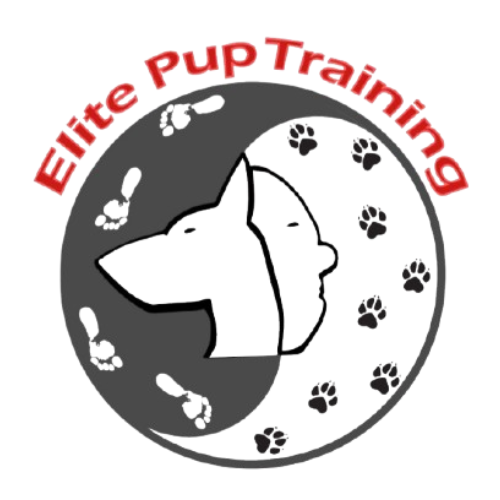 Elite Pup Training