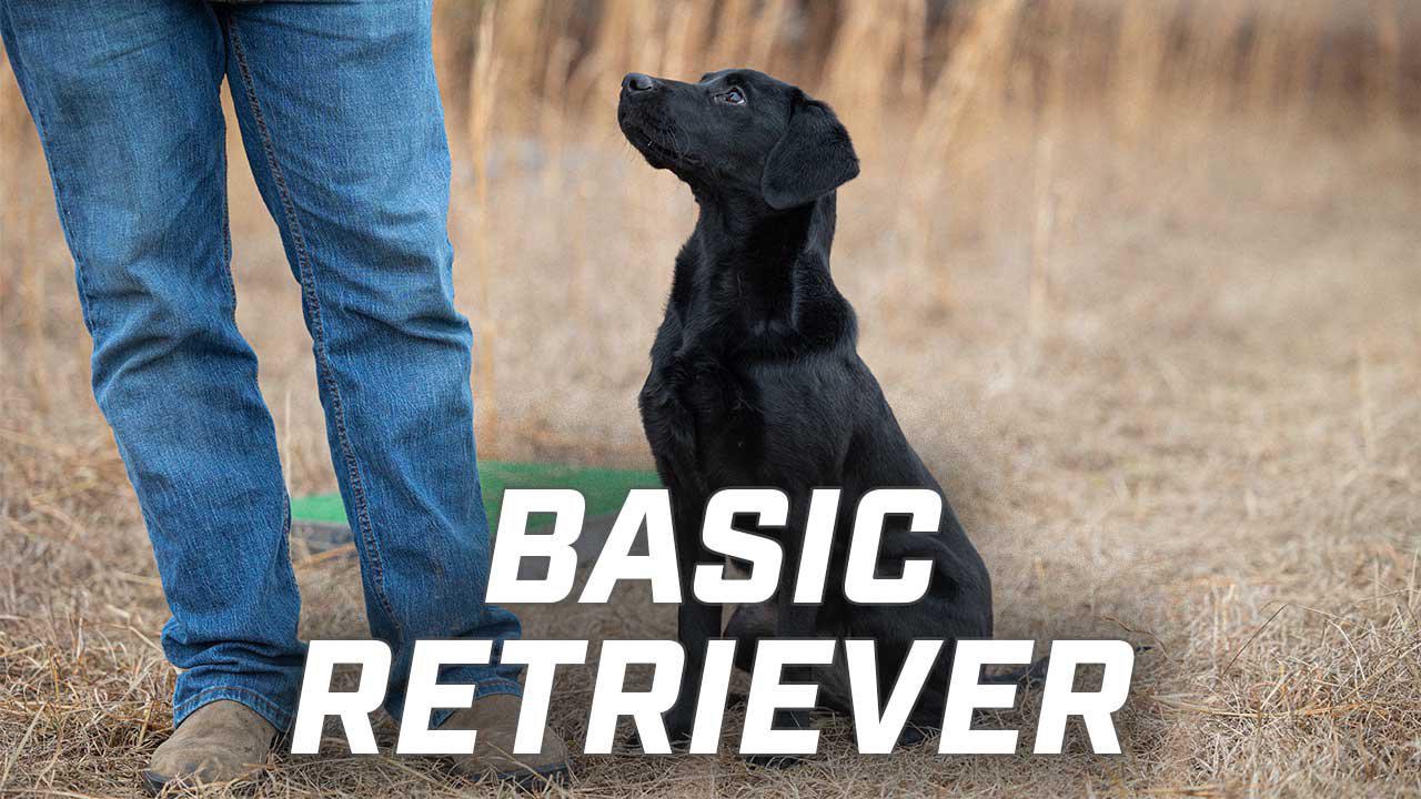 Complete Retriever