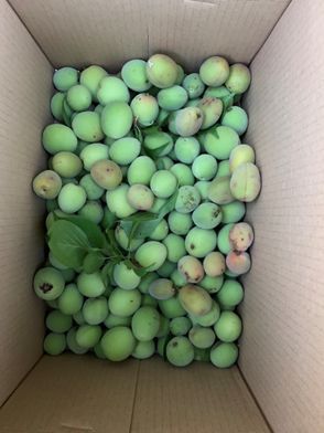 ローフード食材